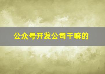 公众号开发公司干嘛的