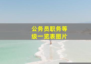 公务员职务等级一览表图片