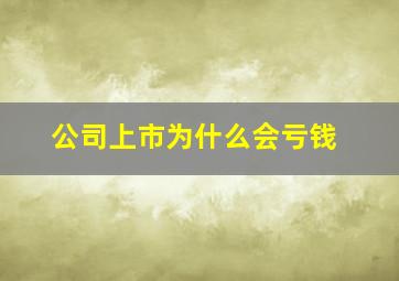 公司上市为什么会亏钱