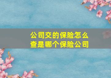 公司交的保险怎么查是哪个保险公司