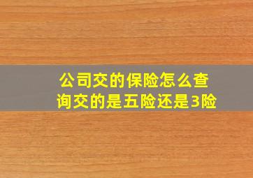 公司交的保险怎么查询交的是五险还是3险