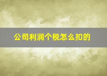 公司利润个税怎么扣的