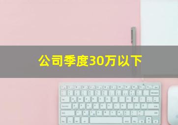 公司季度30万以下