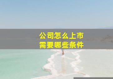 公司怎么上市需要哪些条件