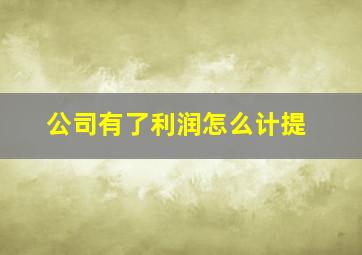 公司有了利润怎么计提