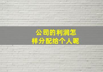 公司的利润怎样分配给个人呢