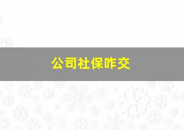 公司社保咋交