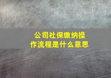 公司社保缴纳操作流程是什么意思