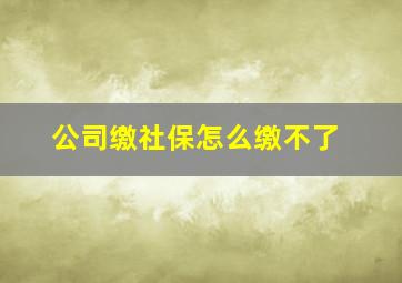 公司缴社保怎么缴不了