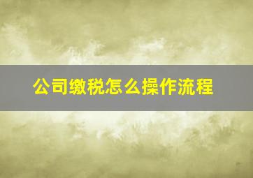 公司缴税怎么操作流程