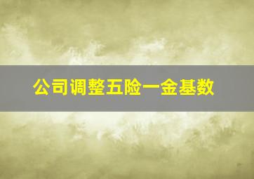 公司调整五险一金基数