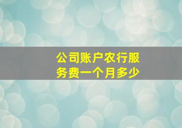 公司账户农行服务费一个月多少