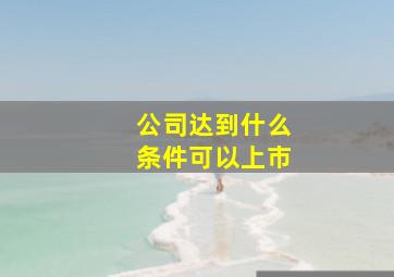 公司达到什么条件可以上市