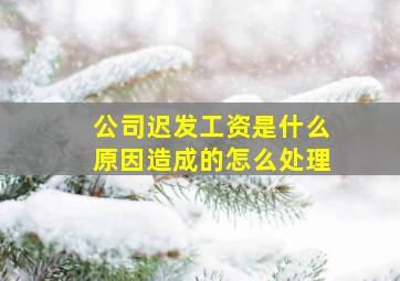 公司迟发工资是什么原因造成的怎么处理