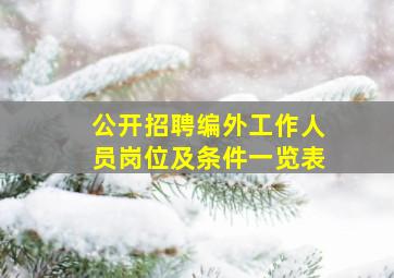 公开招聘编外工作人员岗位及条件一览表