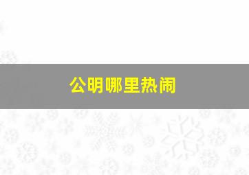 公明哪里热闹