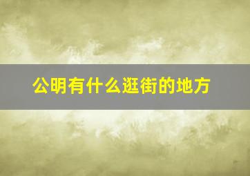 公明有什么逛街的地方