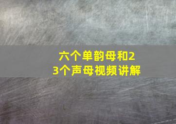 六个单韵母和23个声母视频讲解