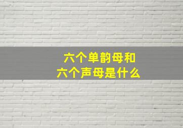 六个单韵母和六个声母是什么