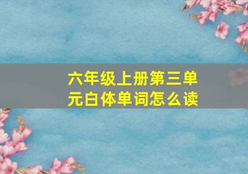 六年级上册第三单元白体单词怎么读