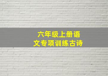 六年级上册语文专项训练古诗