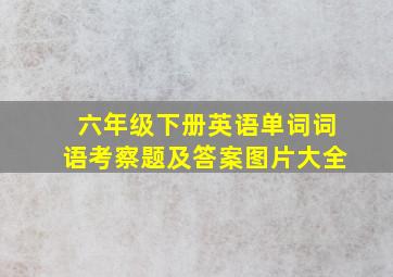 六年级下册英语单词词语考察题及答案图片大全