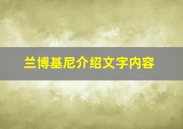 兰博基尼介绍文字内容