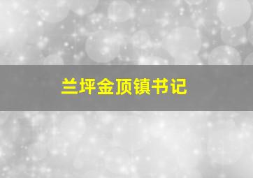 兰坪金顶镇书记