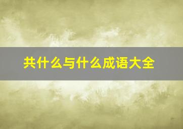 共什么与什么成语大全