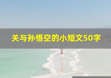 关与孙悟空的小短文50字