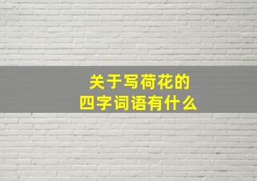 关于写荷花的四字词语有什么