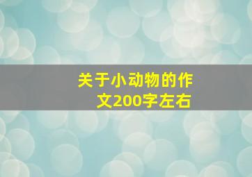 关于小动物的作文200字左右