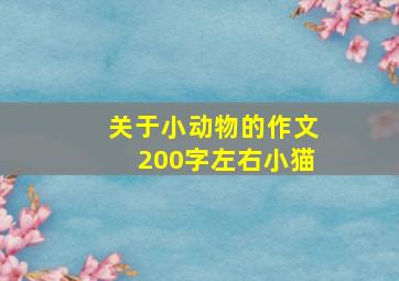 关于小动物的作文200字左右小猫