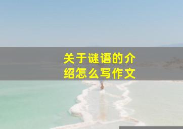 关于谜语的介绍怎么写作文