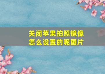 关闭苹果拍照镜像怎么设置的呢图片