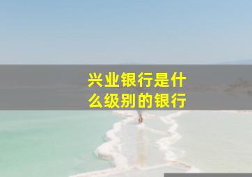 兴业银行是什么级别的银行