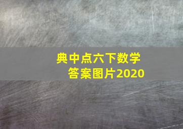 典中点六下数学答案图片2020