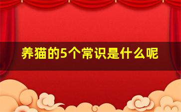 养猫的5个常识是什么呢