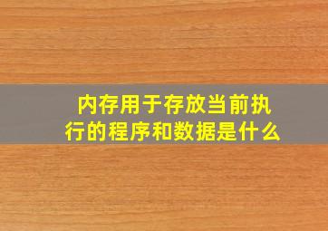 内存用于存放当前执行的程序和数据是什么