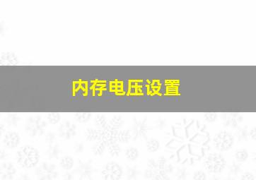 内存电压设置