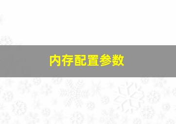 内存配置参数