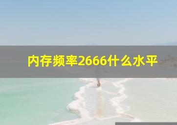 内存频率2666什么水平