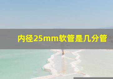 内径25mm软管是几分管