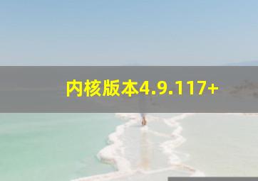 内核版本4.9.117+