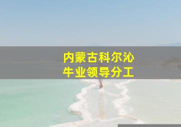 内蒙古科尔沁牛业领导分工