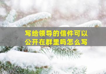 写给领导的信件可以公开在群里吗怎么写