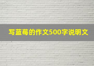 写蓝莓的作文500字说明文