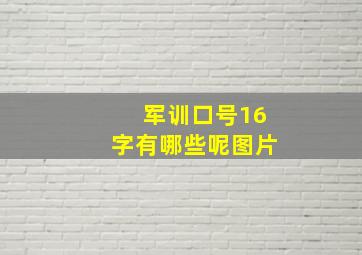 军训口号16字有哪些呢图片