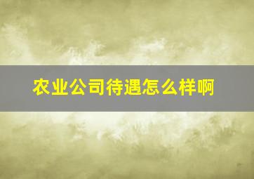 农业公司待遇怎么样啊