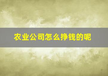 农业公司怎么挣钱的呢